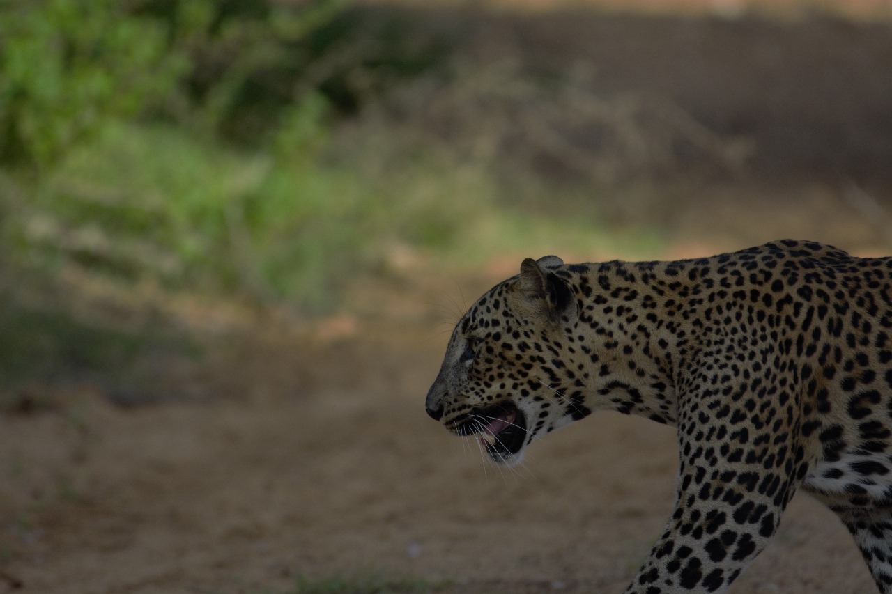 WhatsApp Image 2024-11-12 at 12.21.25 (1)