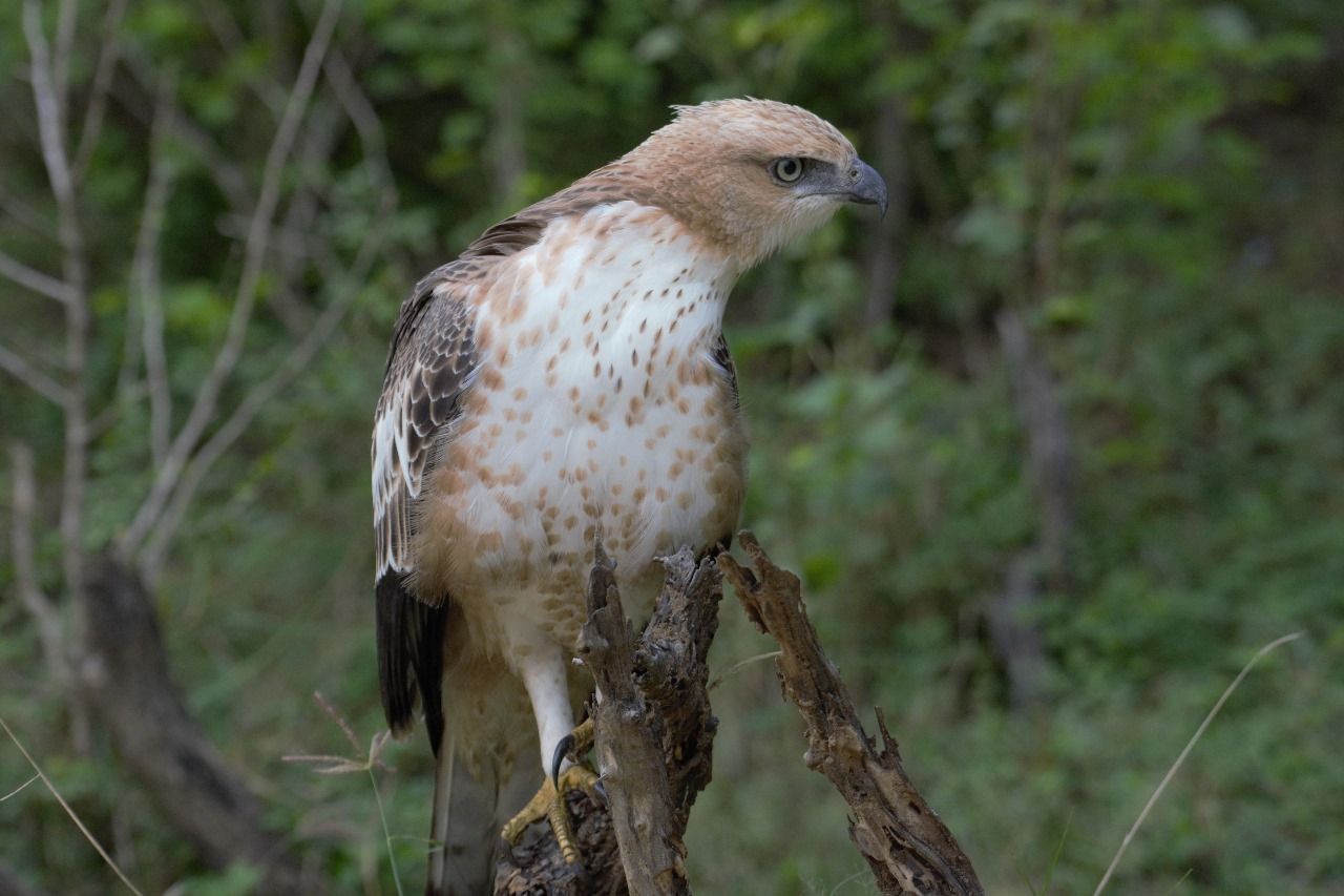 WhatsApp Image 2024-11-12 at 12.25.59 (1)