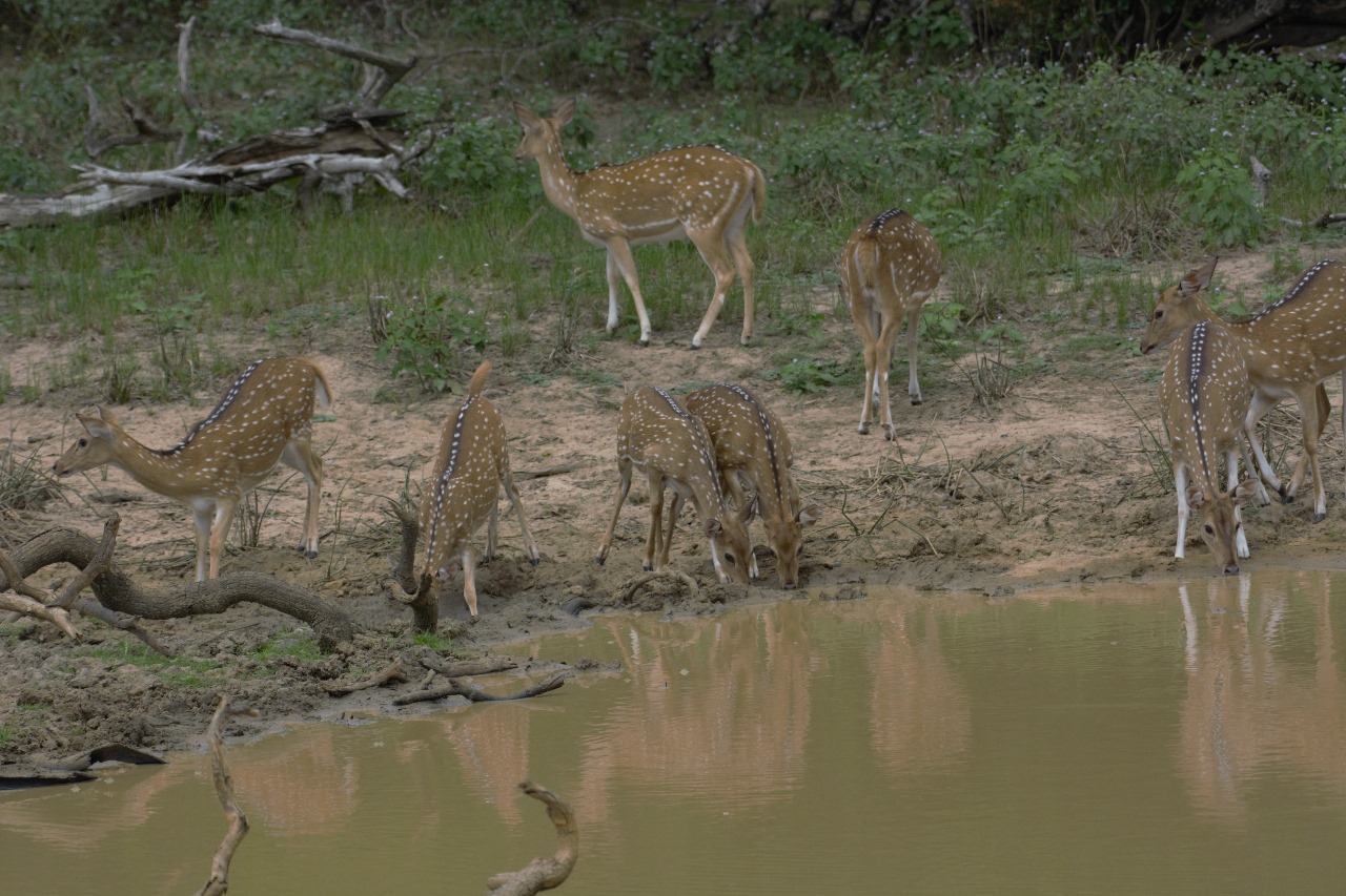 WhatsApp Image 2024-11-12 at 12.26.13