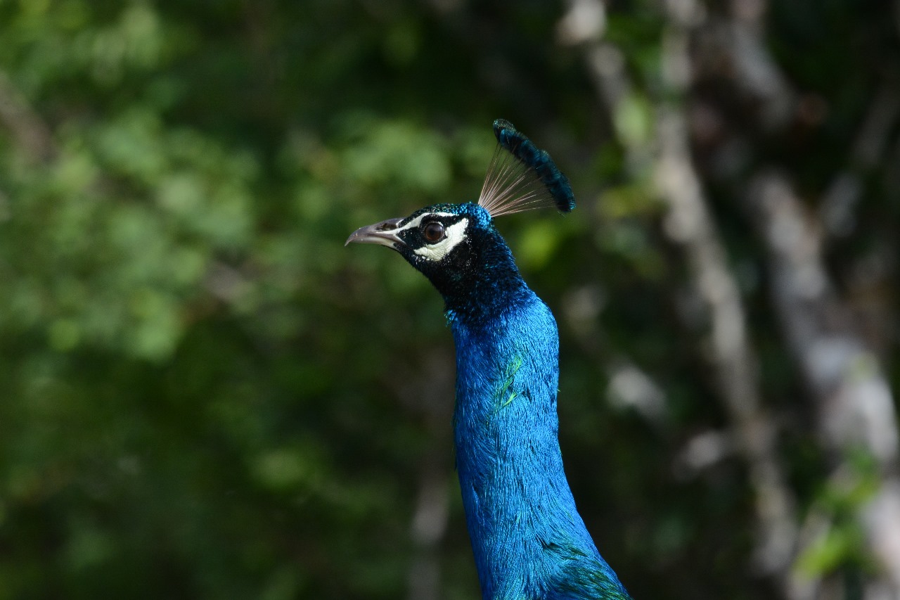 WhatsApp Image 2024-11-12 at 12.26.46 (1)