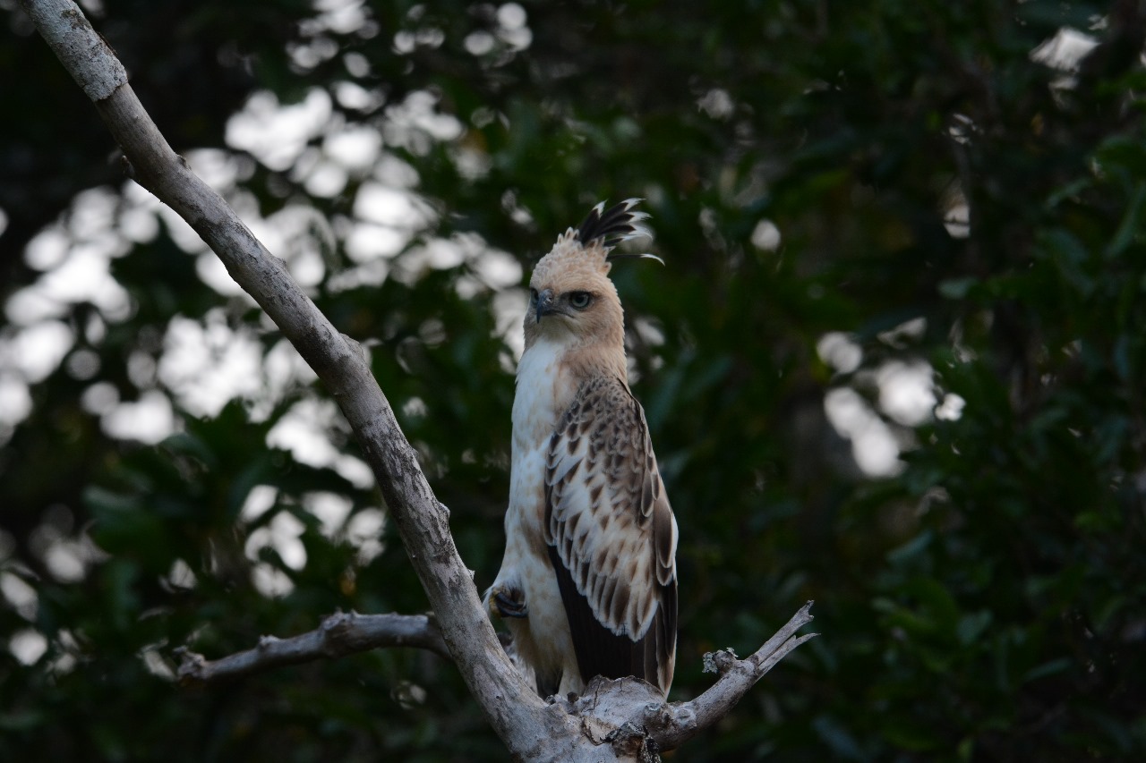 WhatsApp Image 2024-11-12 at 12.26.46