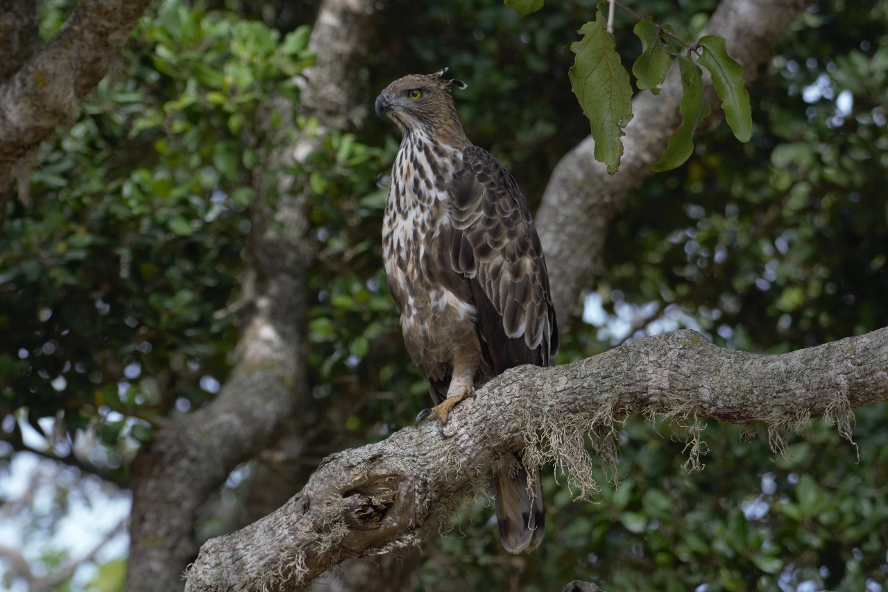 WhatsApp Image 2024-11-12 at 12.26.47