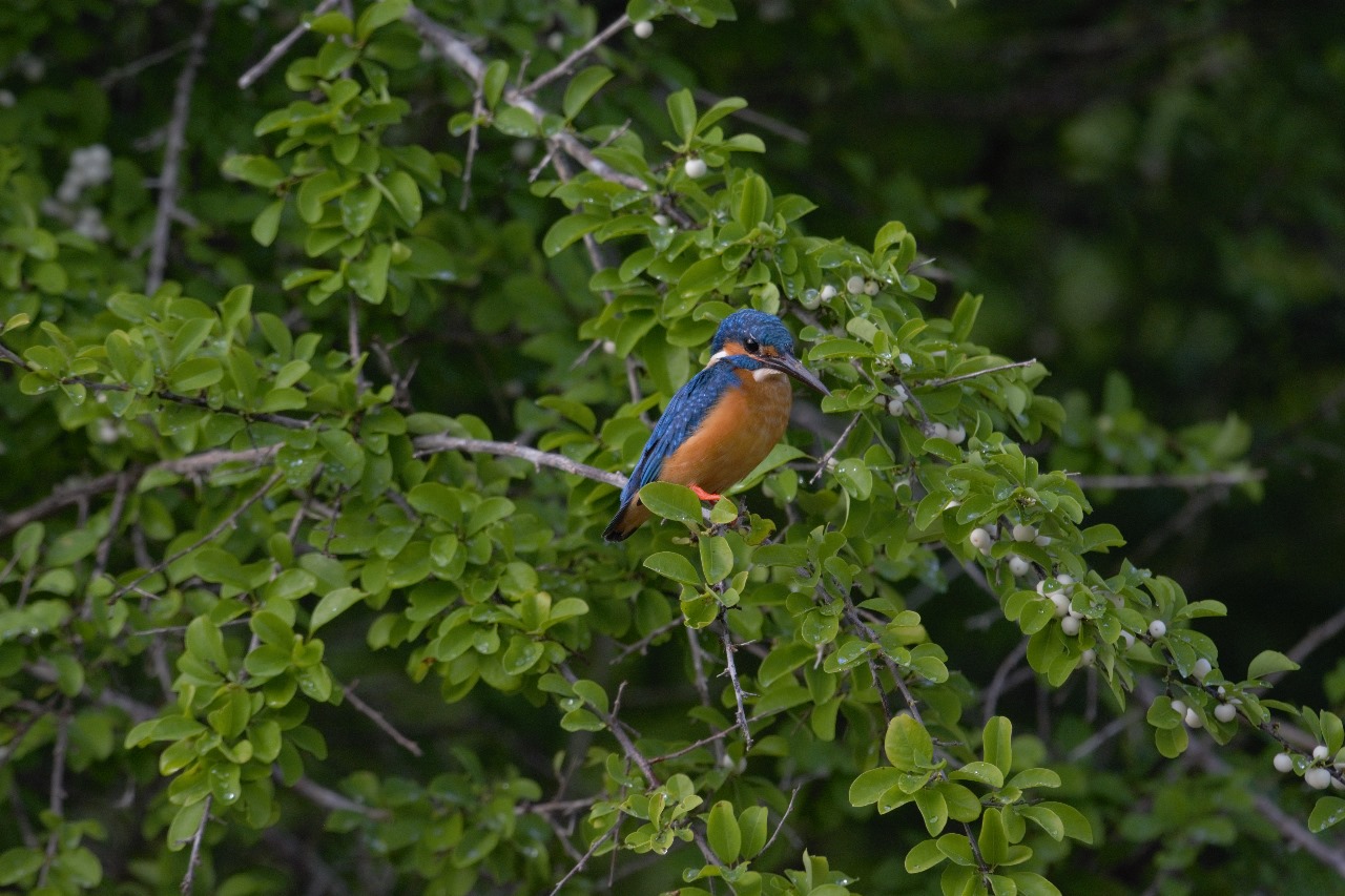 WhatsApp Image 2024-11-12 at 12.26.50