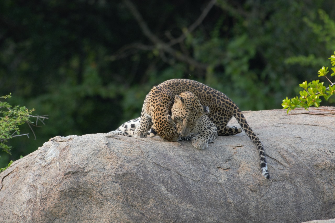 WhatsApp Image 2024-11-12 at 12.29.47