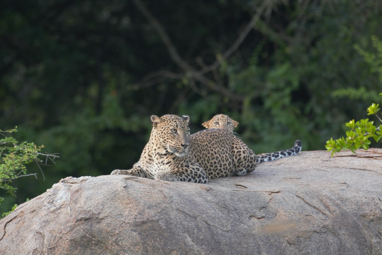 WhatsApp Image 2024-11-12 at 12.30.28