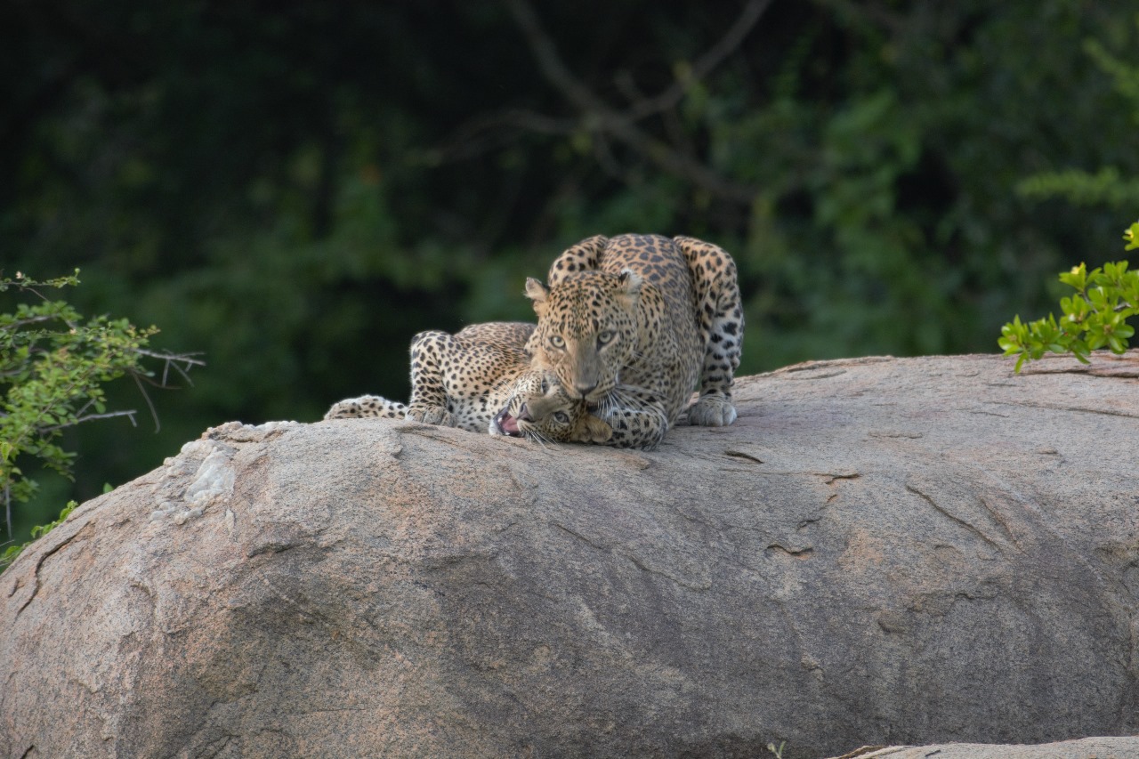 WhatsApp Image 2024-11-12 at 12.31.49