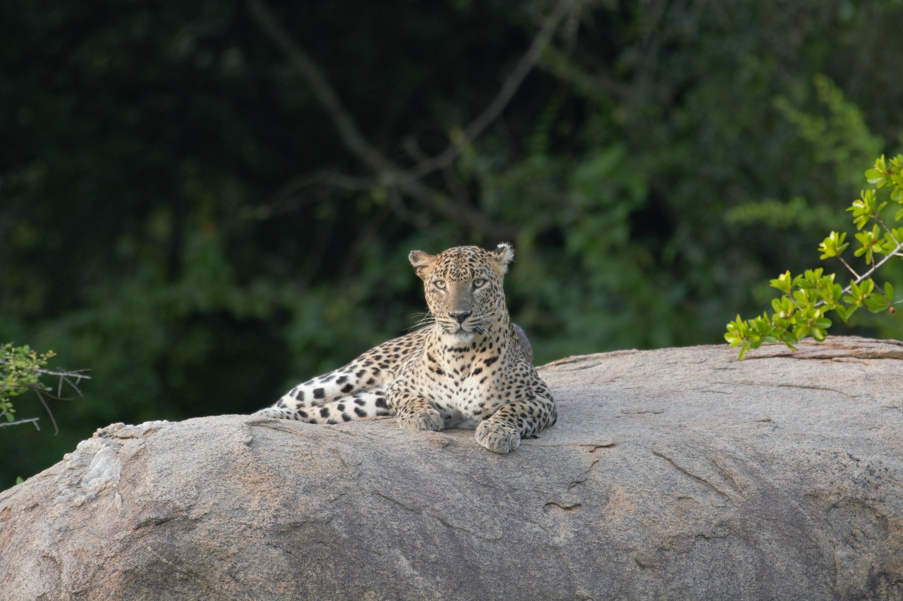 WhatsApp Image 2024-11-12 at 12.32.38