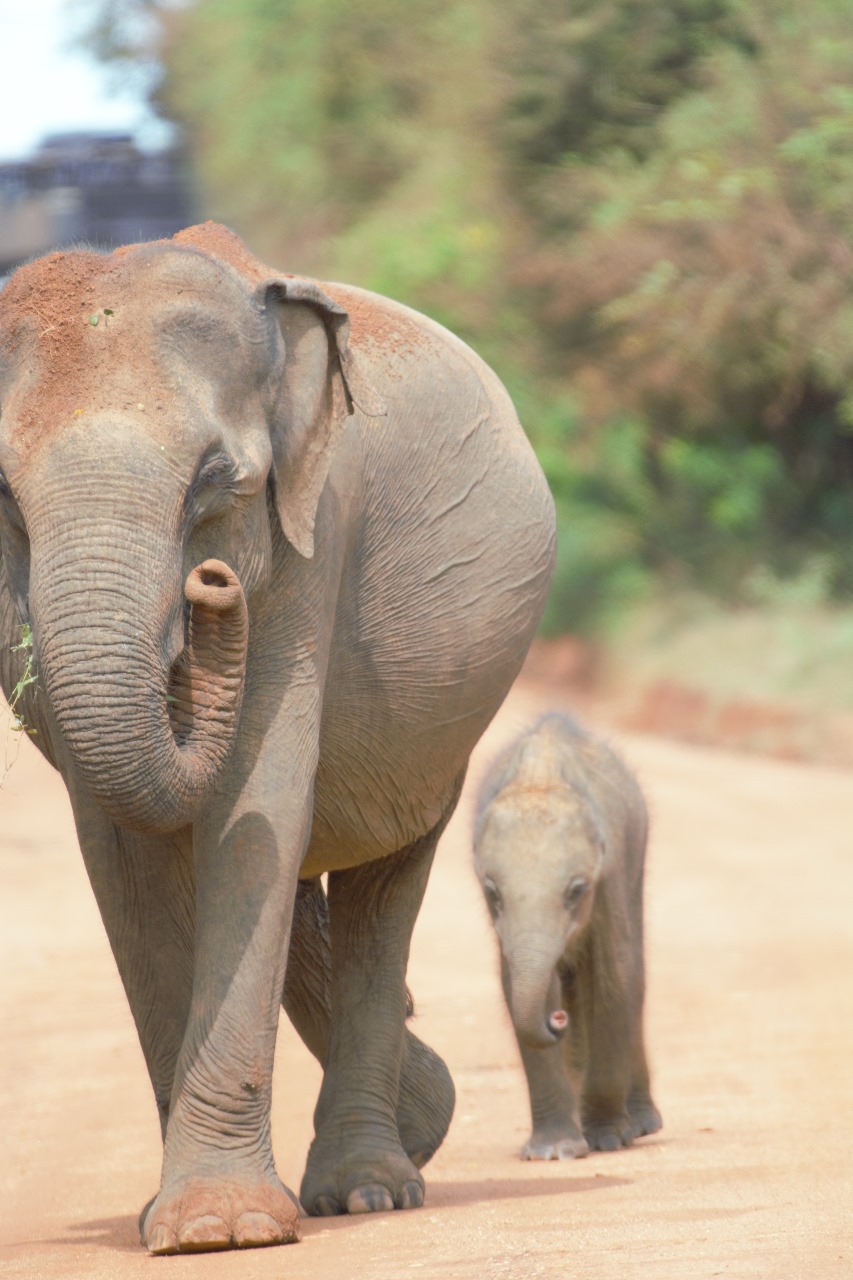 WhatsApp Image 2024-11-12 at 12.33.36