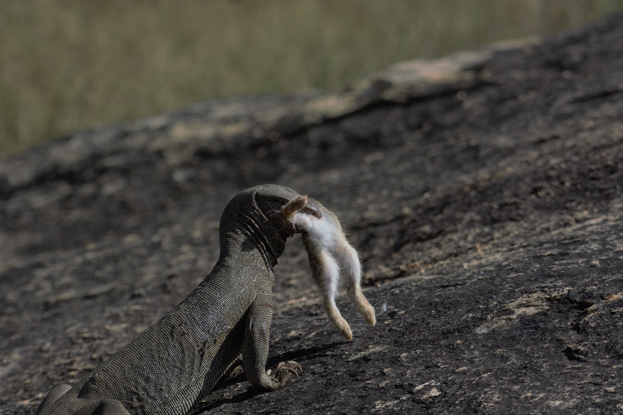 WhatsApp Image 2024-11-12 at 12.34.30