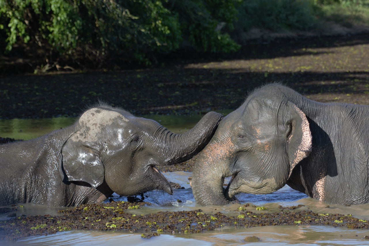 WhatsApp Image 2024-11-12 at 12.34.58